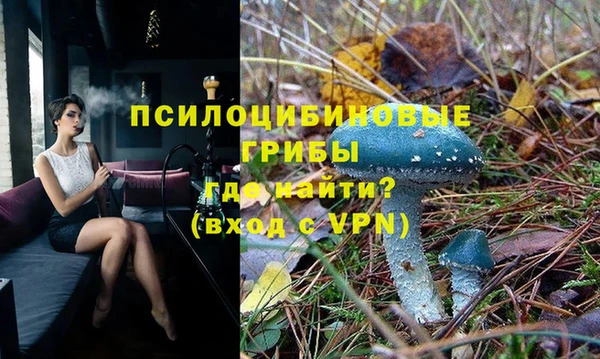 mdma Карпинск